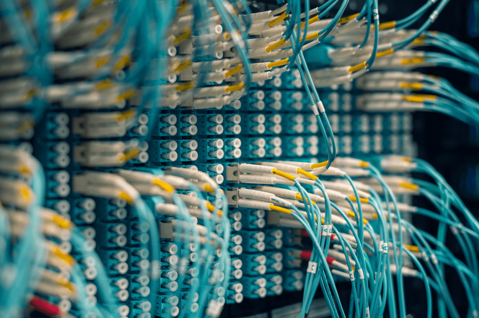 Close-up of teal fibre optic patch cables plugged into rows of patch panel ports, with yellow connector sleeves in sharp focus and the background softly blurred.