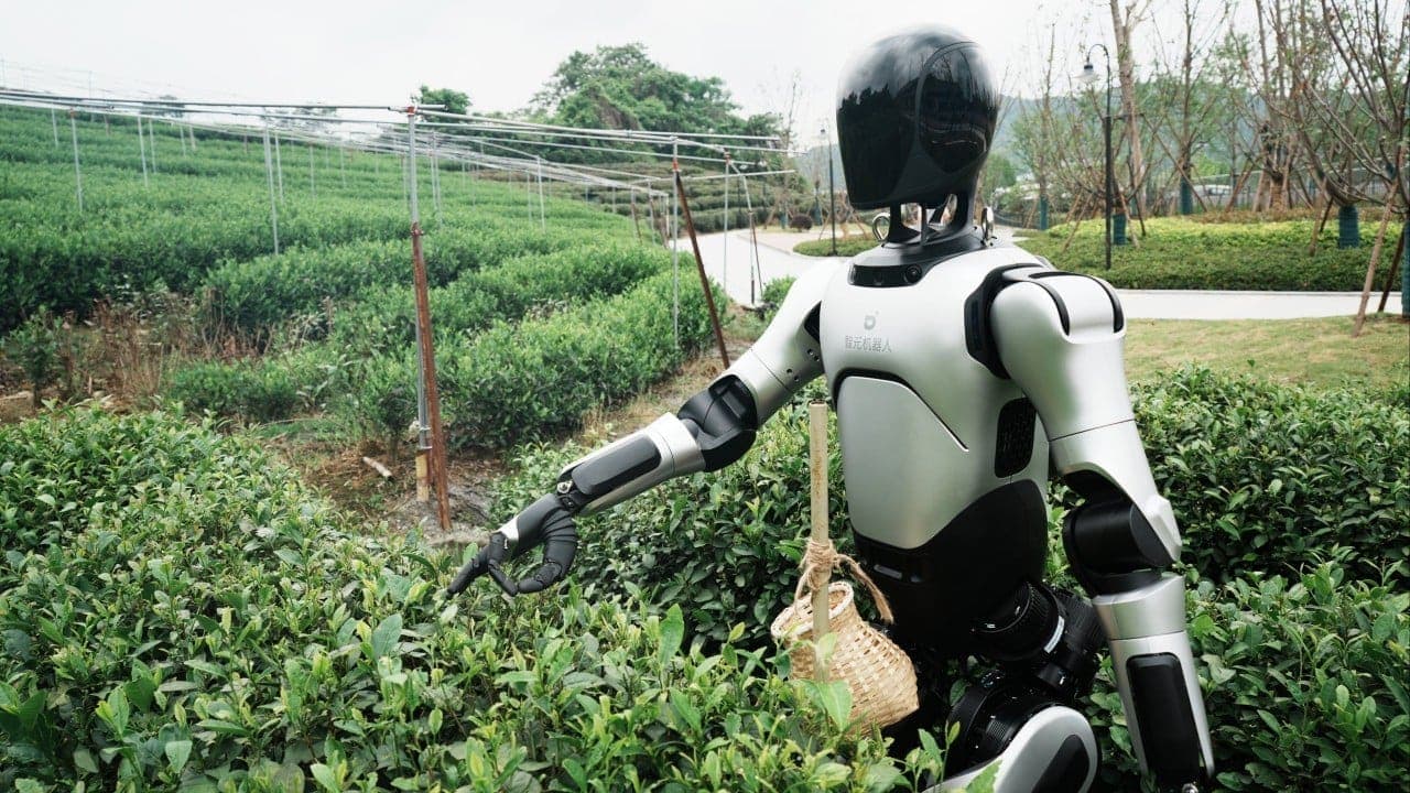 Shanghai Robotics Firm AgiBot Taps Three Banks for Hong Kong Listing