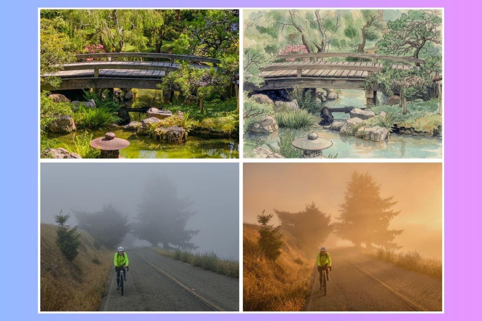 Adobe Pivots Its Photography App Into an AI Experiment