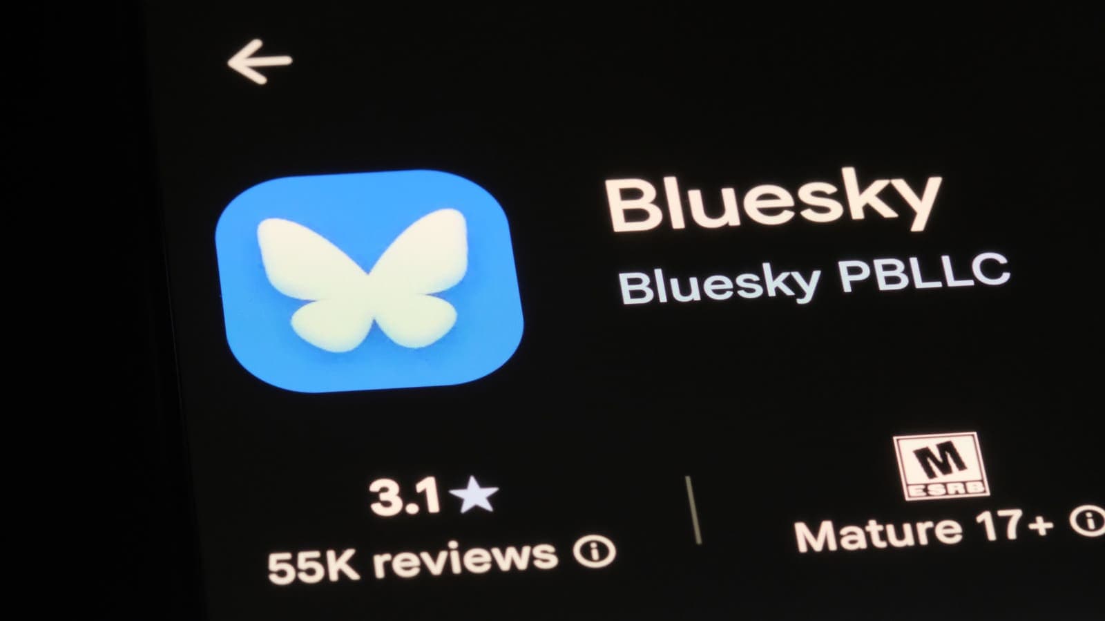 Bluesky Drops the Interim Tag: Toni Schneider Takes Permanent Helm