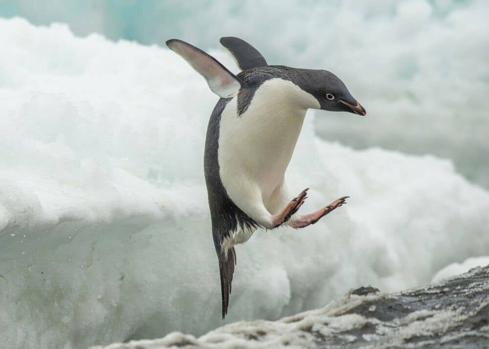 How a Genomics Lab Hack Became Enterprise Linux's Quiet Standard