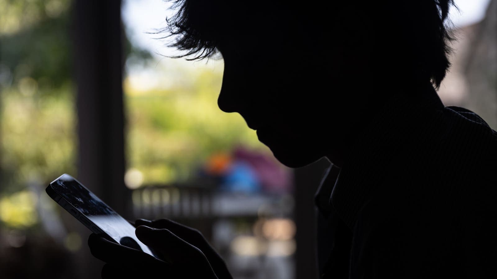 France's Constitutional Council Blocks Youth Social Media Ban Over Age-Verification Concerns
