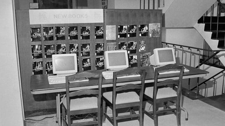 The Great Divergence: How AI Is Rewriting the Labor Map